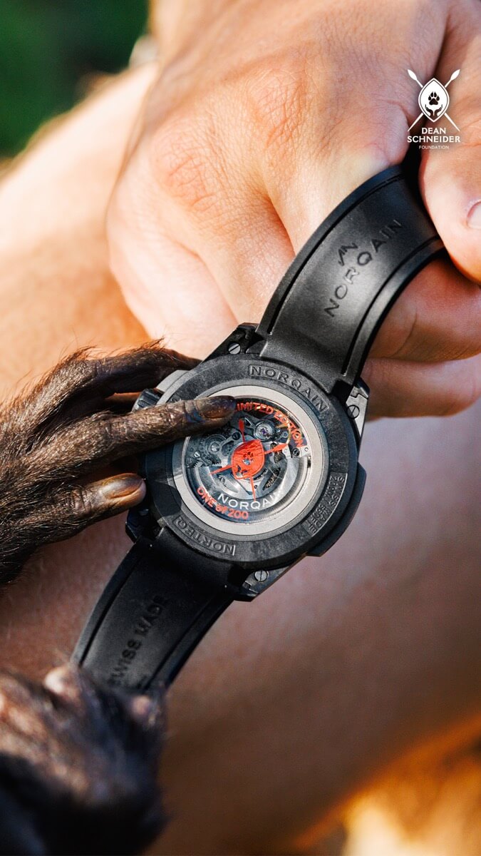 Norqain Independence 40mm Hakuna Mipaka – Image 5